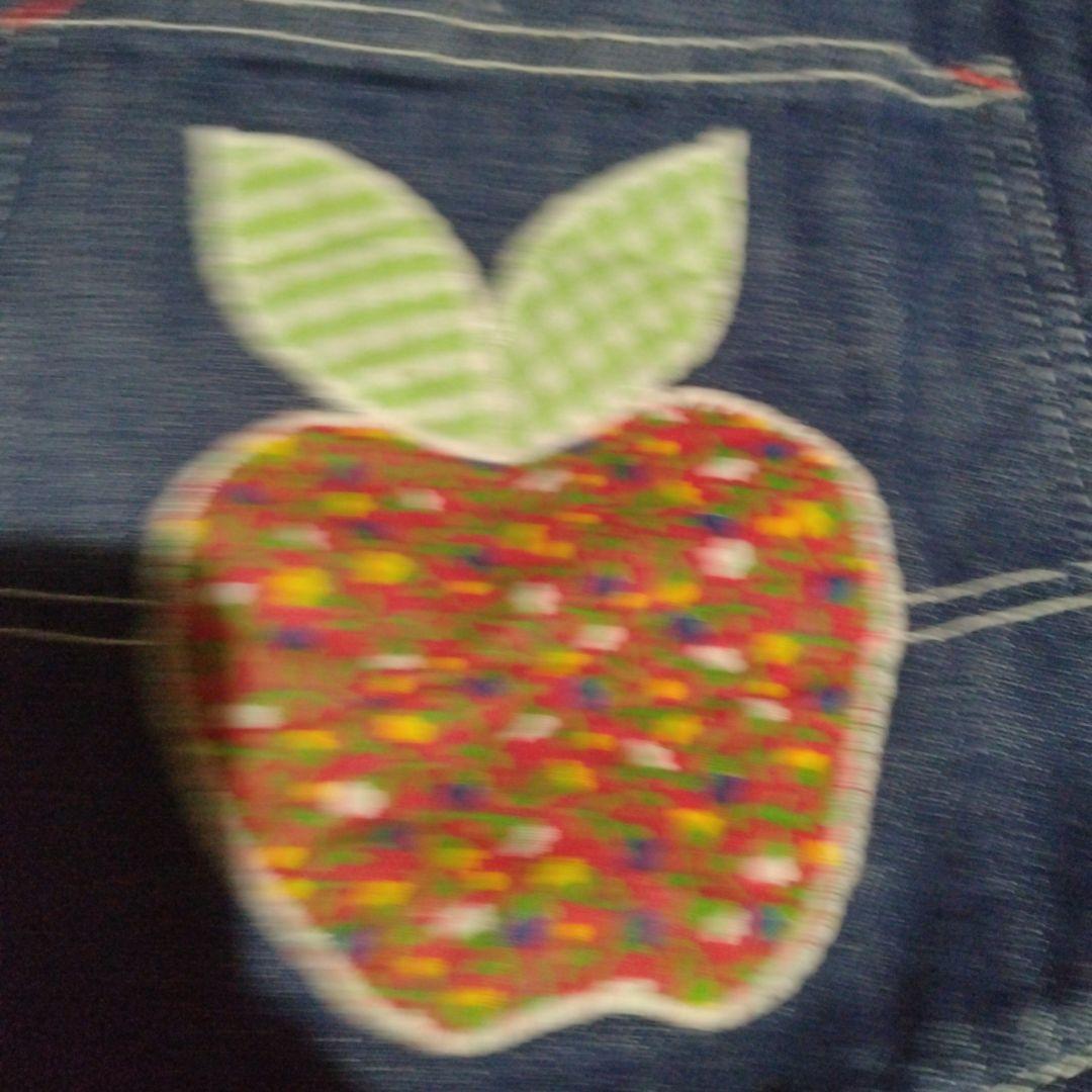 LEO ビンテージsearsデニムカバーオール リンゴと毛虫刺繍