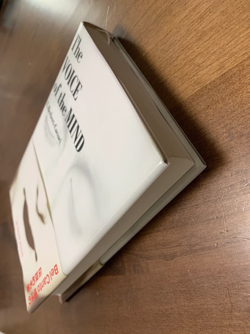 The VOICE of the MIND ザ•ヴォイス•オブ•ザ•マインド