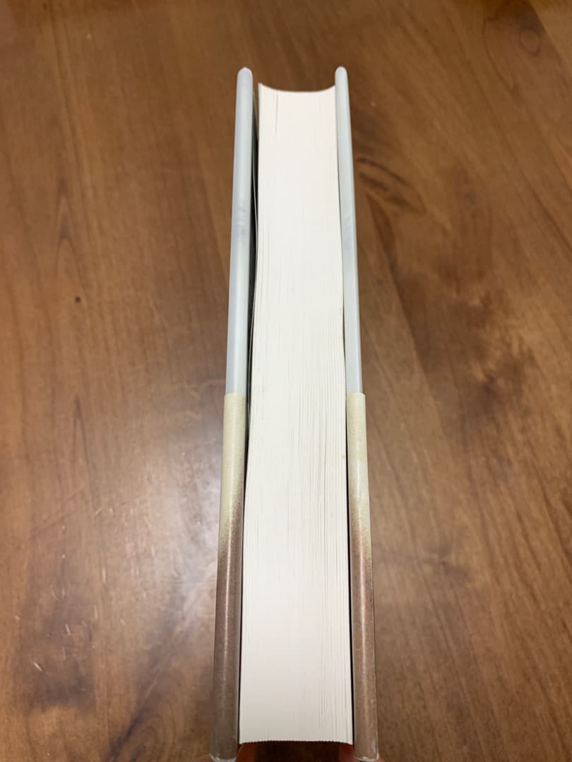 The VOICE of the MIND ザ•ヴォイス•オブ•ザ•マインド