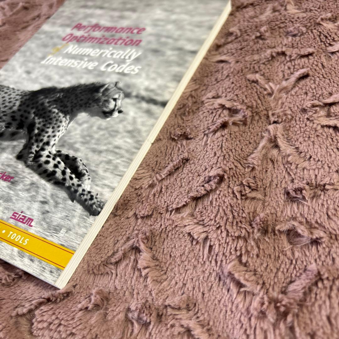 コンピュータ・IT Performance Optimization of Numerical...