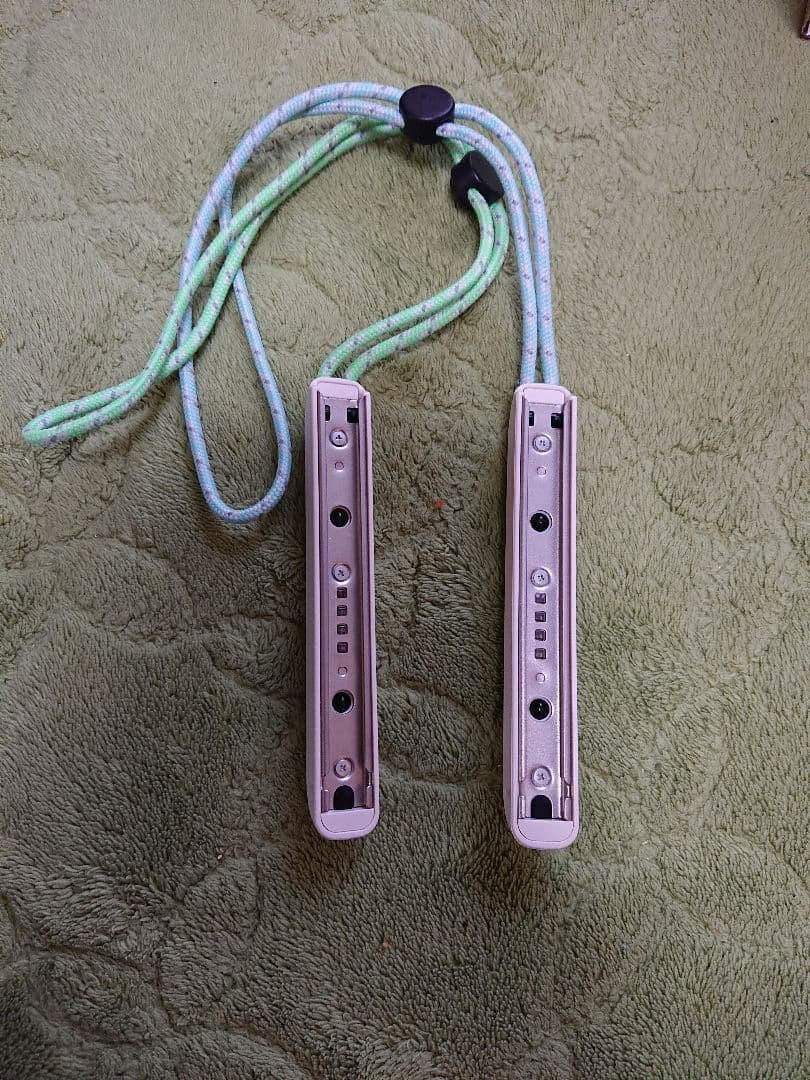 Nintendo Switch 本体 通常版 ジョイコンだけあつまれどうぶつの森