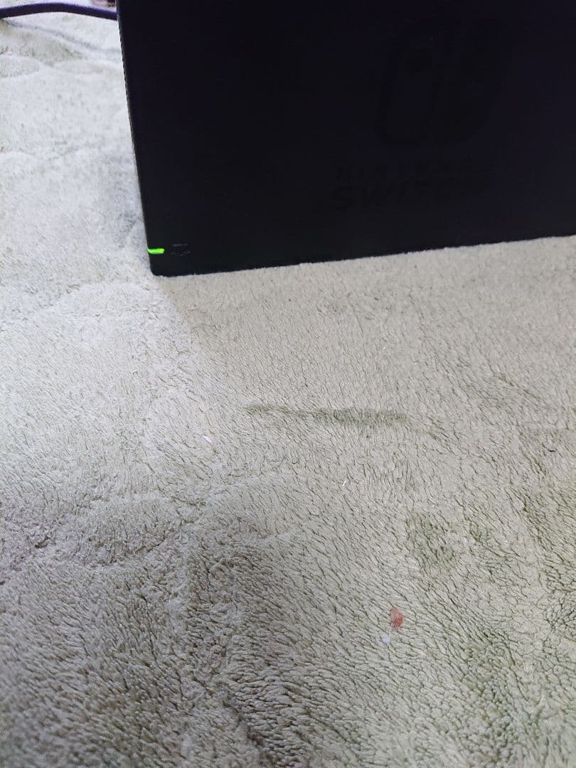 Nintendo Switch 本体 通常版 ジョイコンだけあつまれどうぶつの森