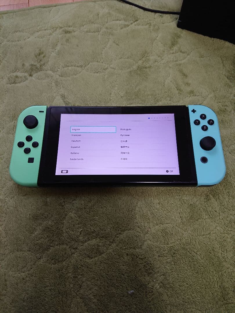 Nintendo Switch 本体 通常版 ジョイコンだけあつまれどうぶつの森