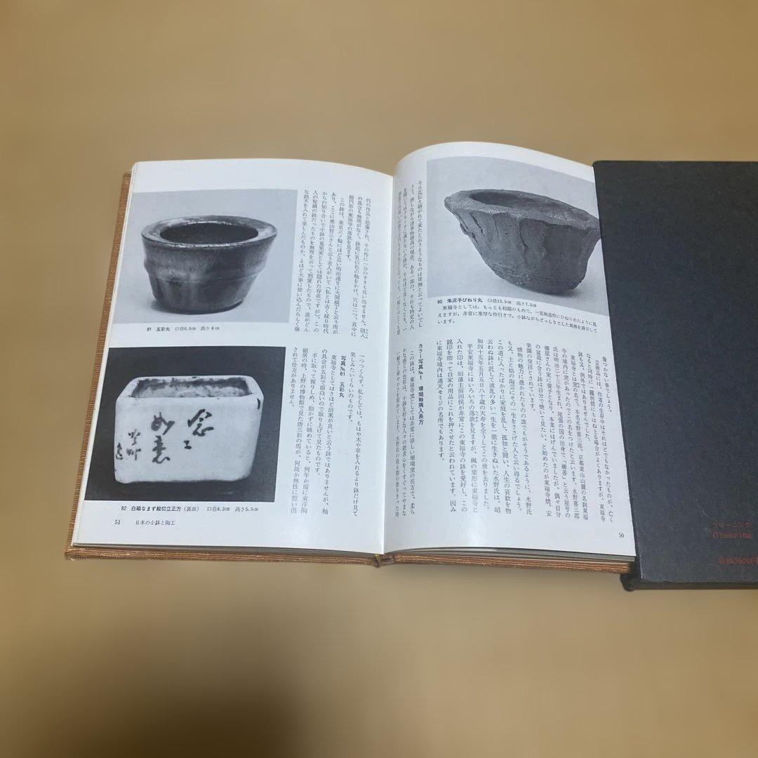 盆栽小鉢の面白味