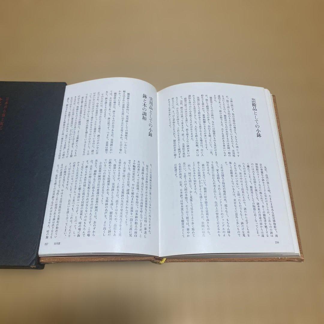 盆栽小鉢の面白味