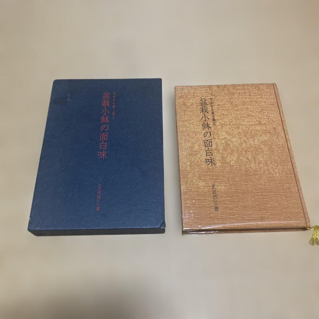 盆栽小鉢の面白味