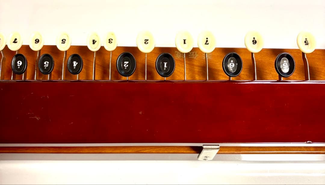 琴伝流 大正琴 野ばら 木目調 ハードケース付き