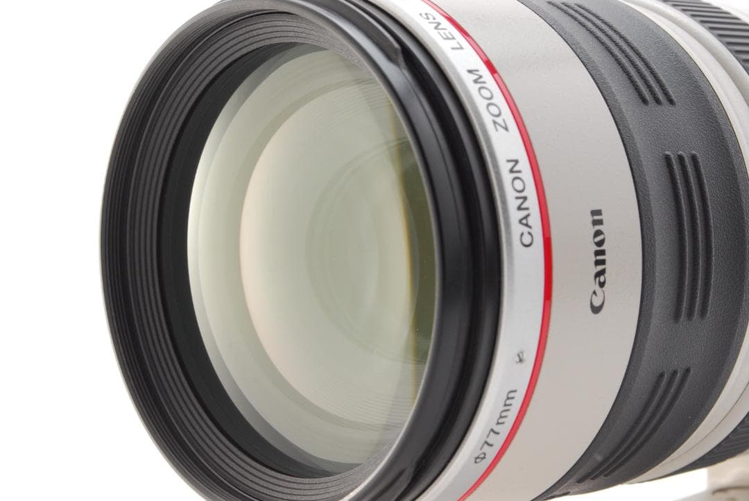 Canon EF 100-400mm f4.5-5.6 L IS USM レンズ