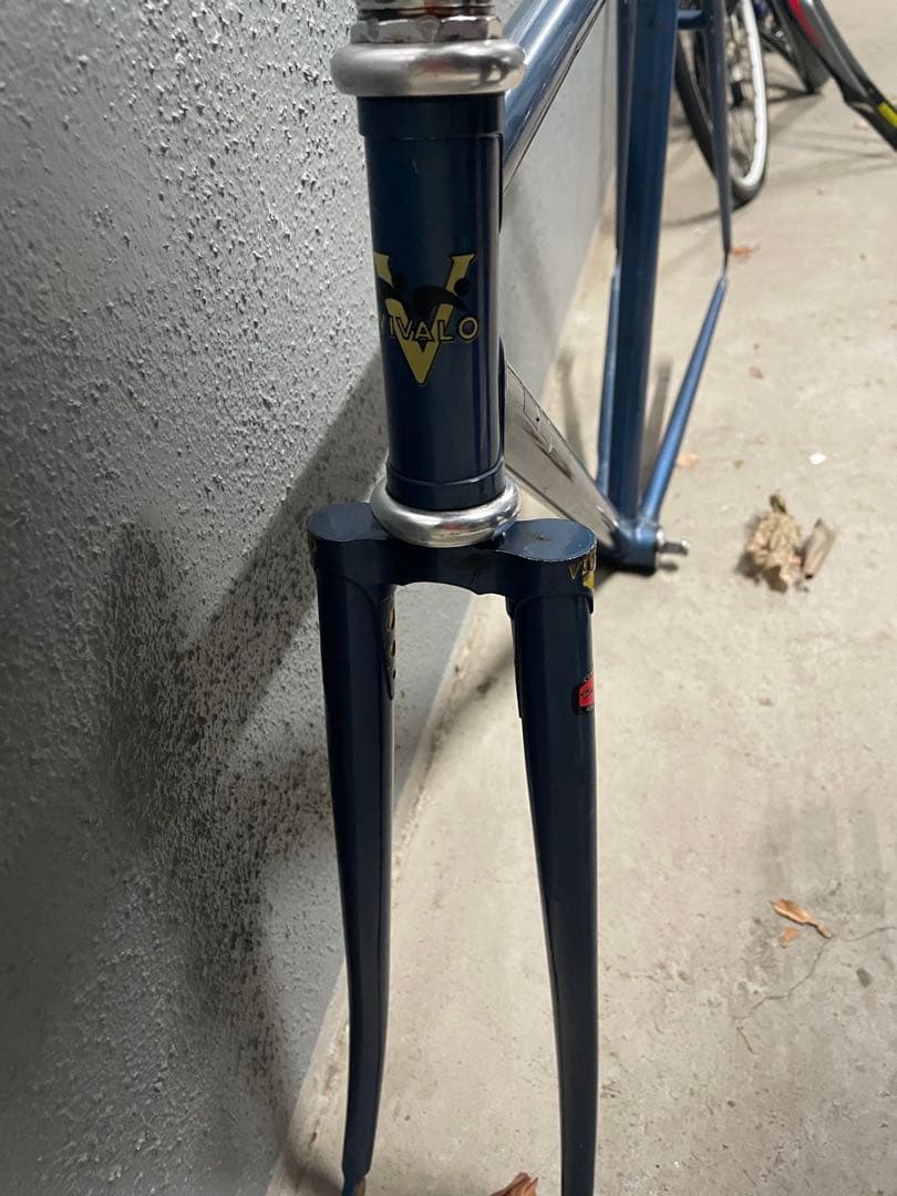 バ*子様 カンパニョーロNJS 付、ビバロフレーム