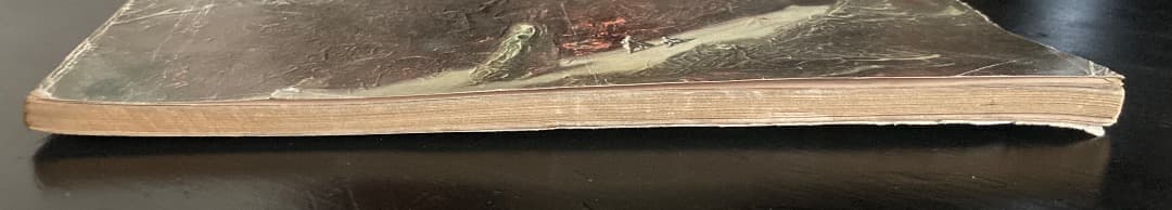 186《激レア》『雑誌 Analog（アナログ）』DUNE 初出掲載号2冊セット