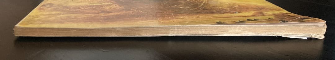 186《激レア》『雑誌 Analog（アナログ）』DUNE 初出掲載号2冊セット