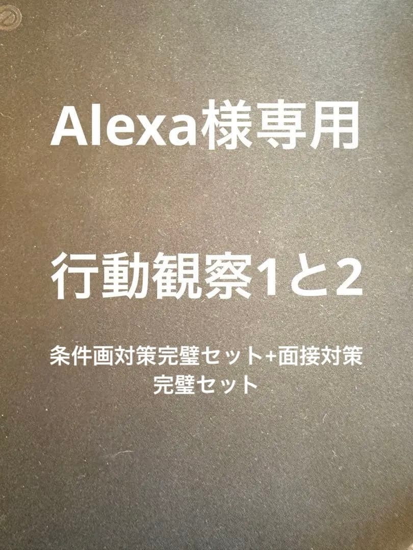 行動観察完璧セット　(フル)