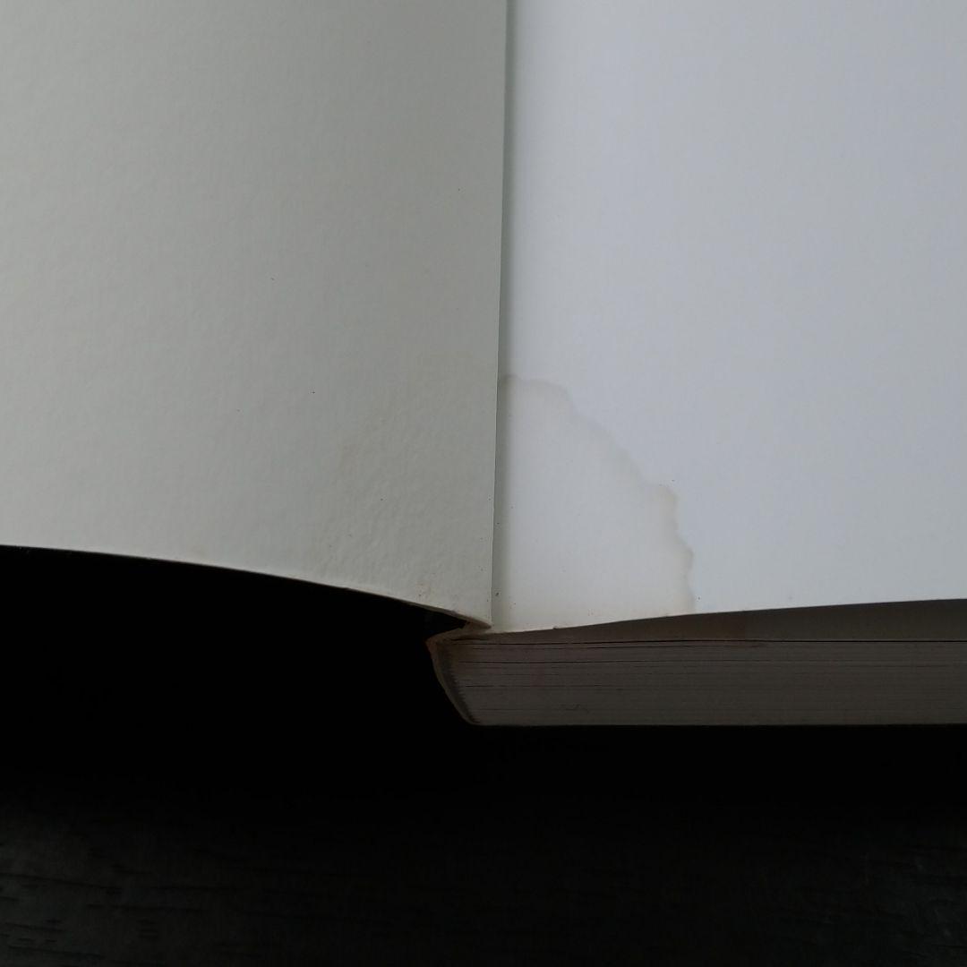 シカゴ美術館　THE ESSENTIAL GUIDE