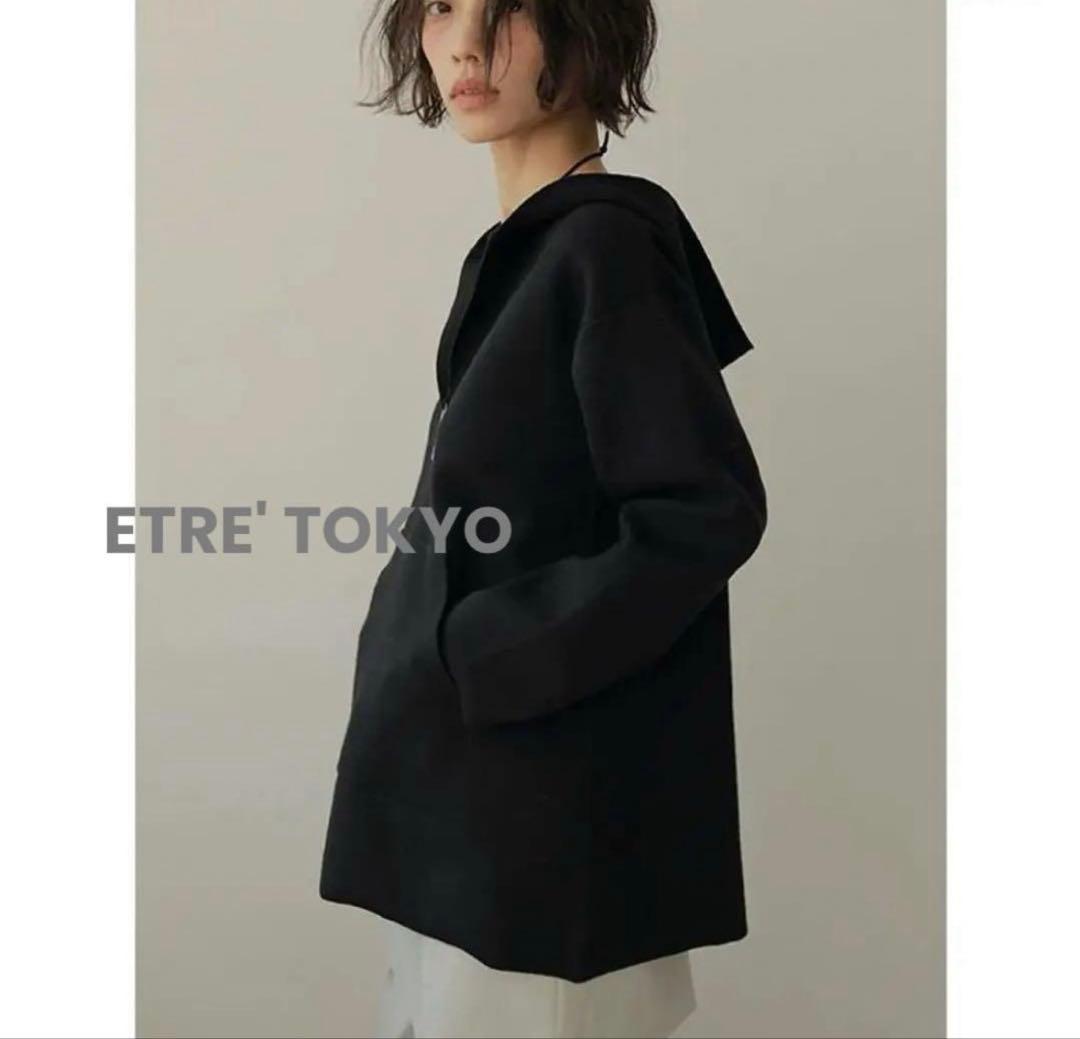 ETRE' TOKYOエトレトウキョウ　ウールフーディーニットプルオーバー