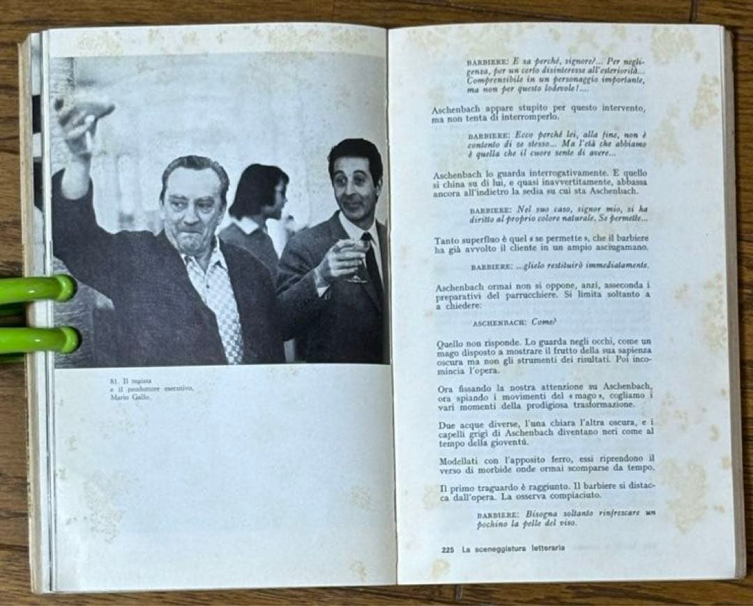 ヴィスコンティ映画本2冊イタリア語版ヴェニスに死す　ルートヴィヒ　シナリオと解説