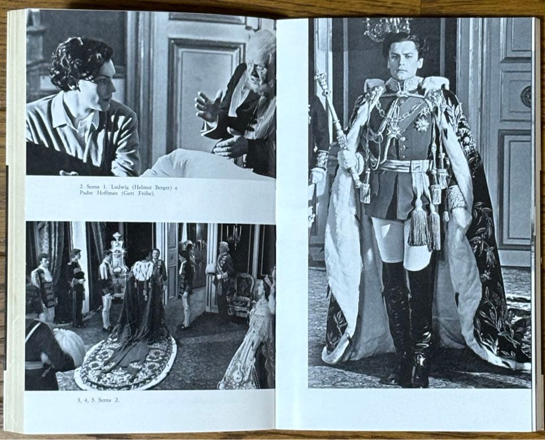 ヴィスコンティ映画本2冊イタリア語版ヴェニスに死す　ルートヴィヒ　シナリオと解説