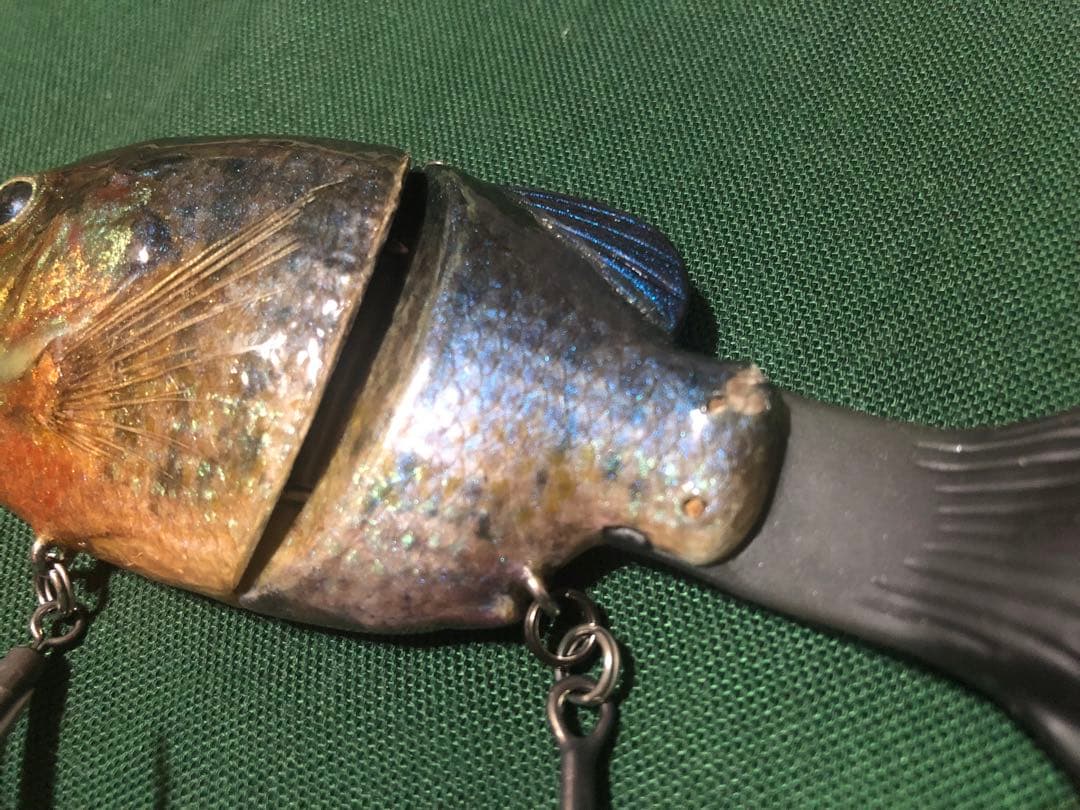 フレッシュベイトルアーズ イマカツ ギルロイドベビー？