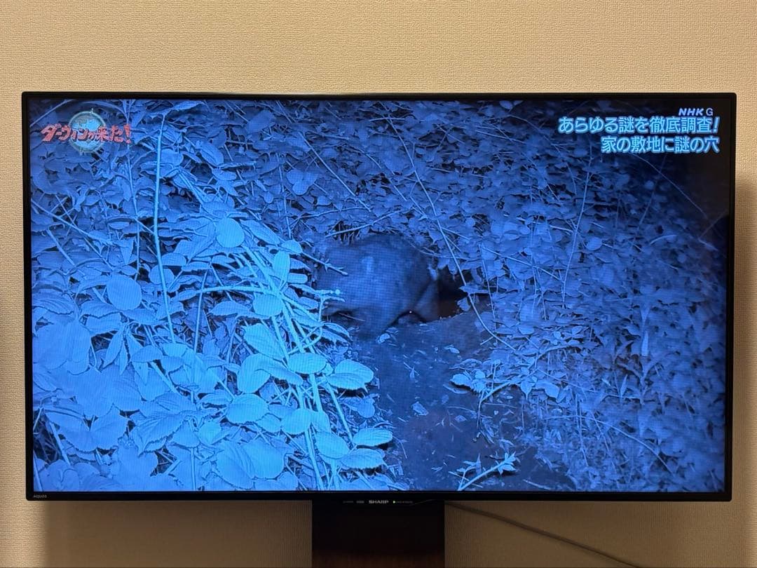 【セール】SHARP 50インチ液晶テレビ