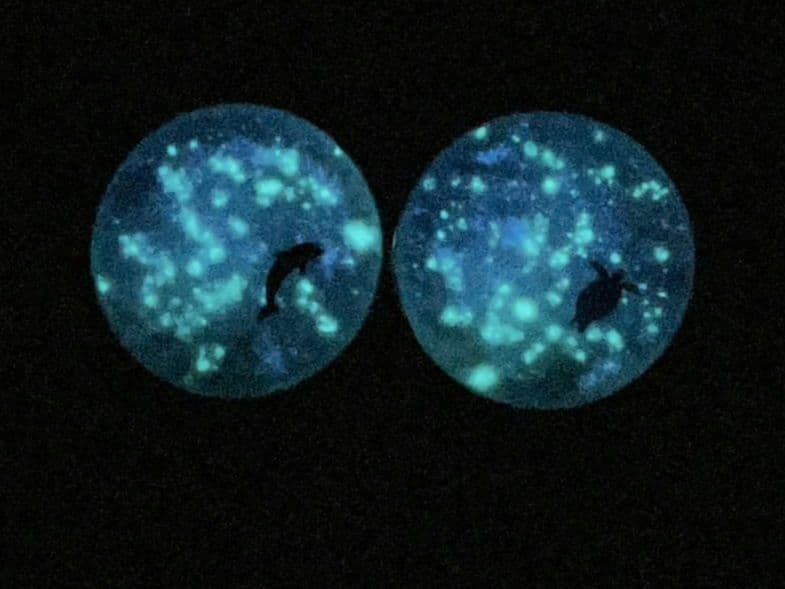 ❤️チャルメラ❤️星の海　小さな水族館　Sea drop✩。°ネックレス