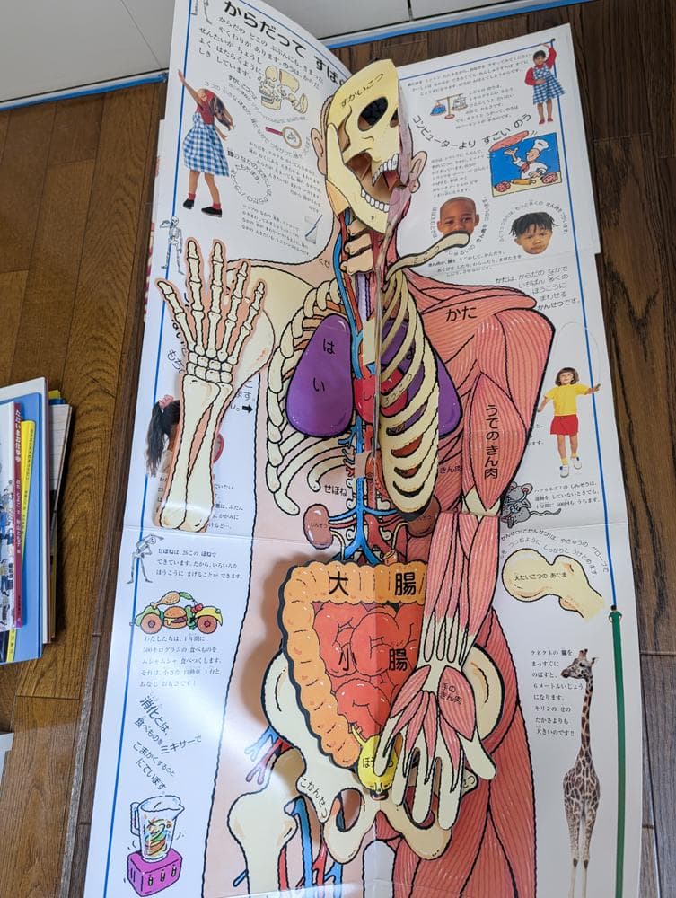 【５歳児～】絵本15冊セット まとめ売り 美品 ２万３千円相当