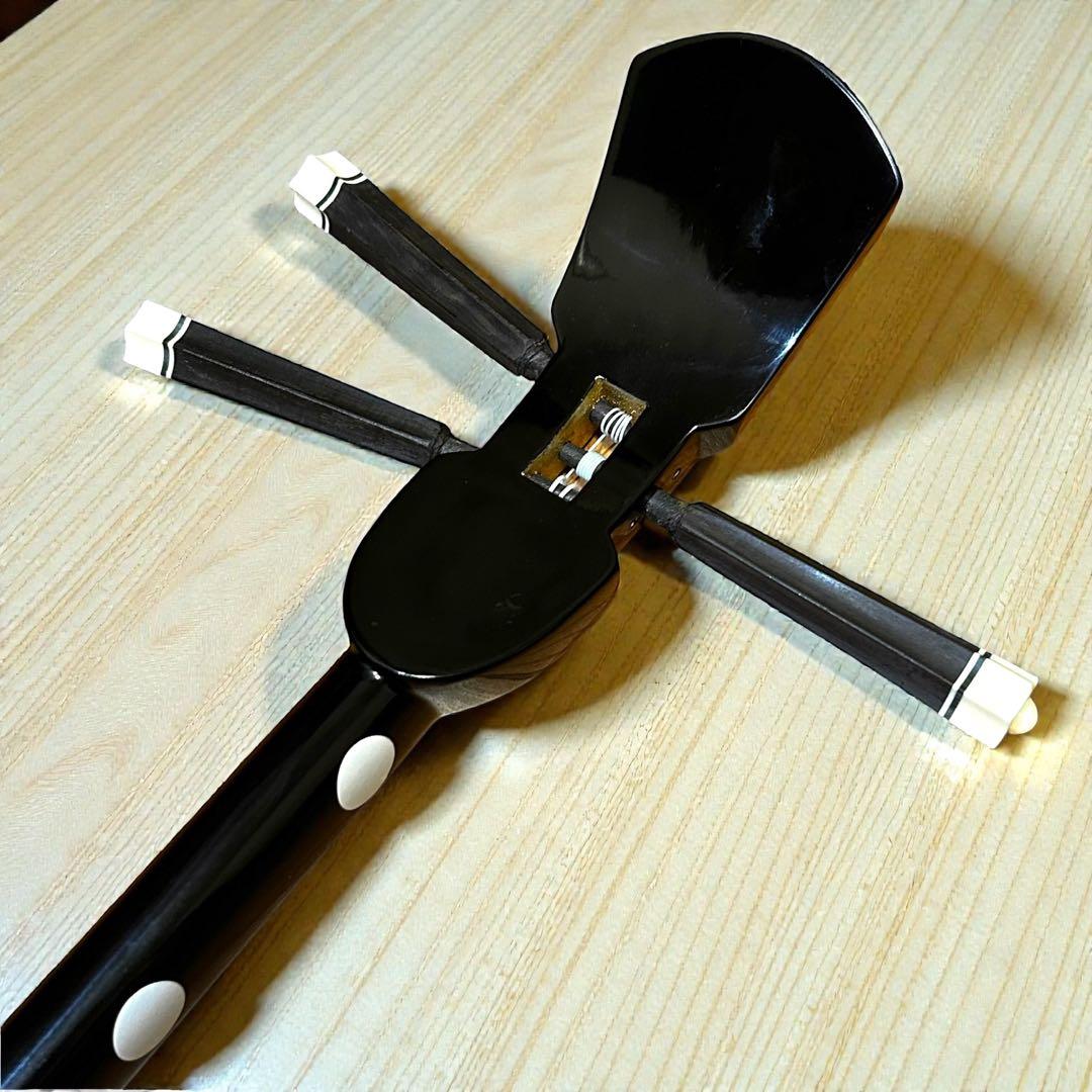 ほぼ未使用級❣️極美品✨ 沖縄三線 人工皮 蛇柄胴 琉球唐草刺繍 ハードケース付き