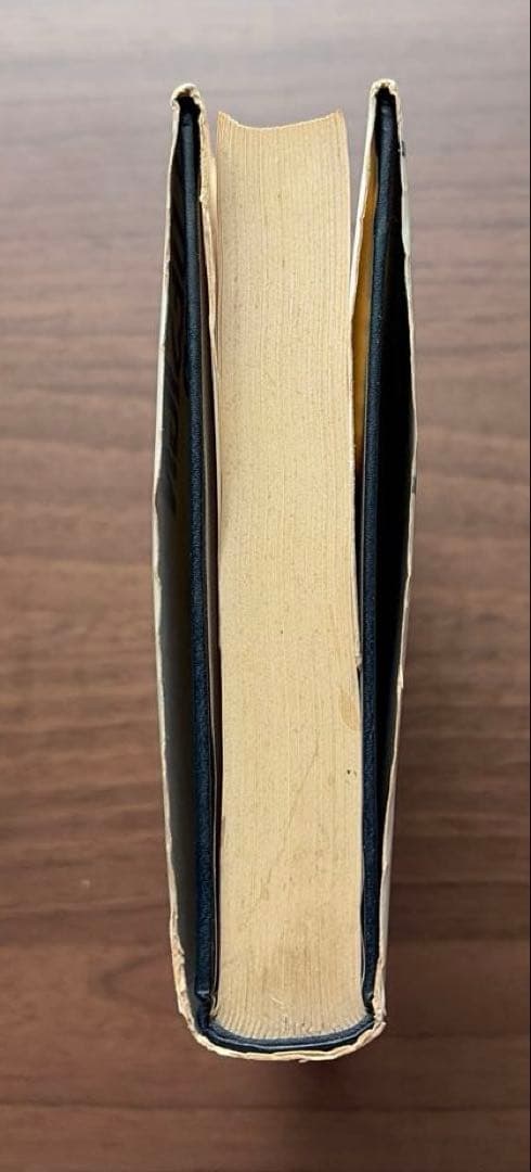 DESIGN FOR A BRAIN (頭脳への設計) 希少本