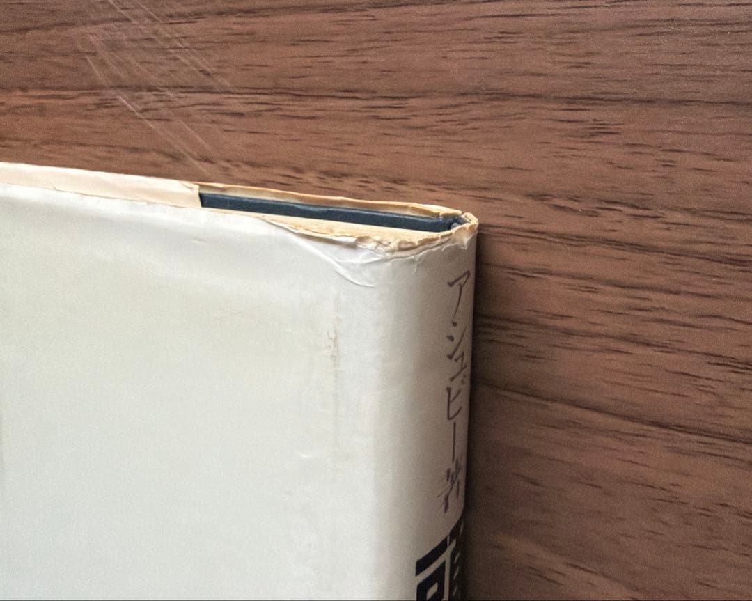 DESIGN FOR A BRAIN (頭脳への設計) 希少本