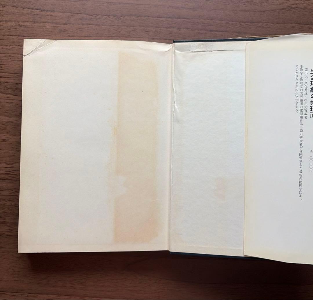 DESIGN FOR A BRAIN (頭脳への設計) 希少本