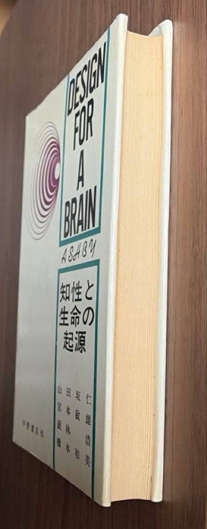 DESIGN FOR A BRAIN (頭脳への設計) 希少本