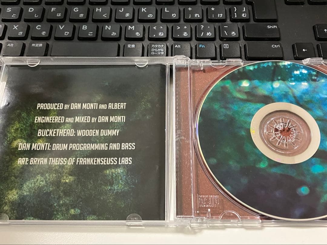 洋楽 Buckethead Shadows between the sky CD