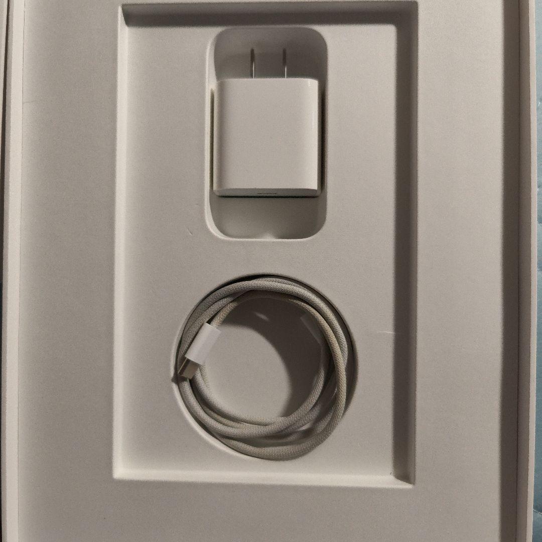 iPad 第10世代 256GB ブルー 　値下げ　不可