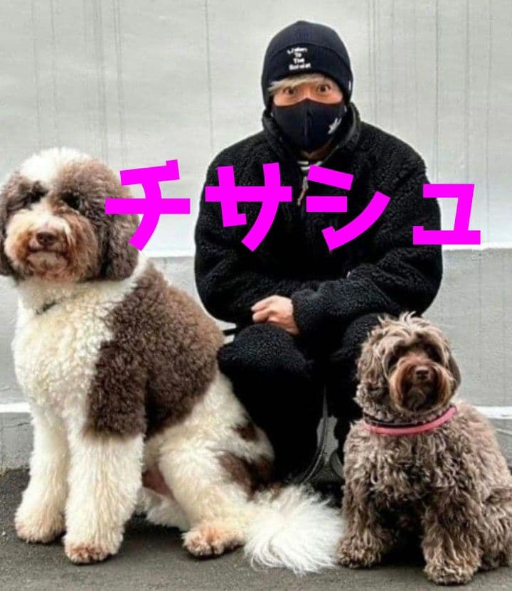 キムタク　私物　ソロイスト　ニューエラ　ニットキャップ