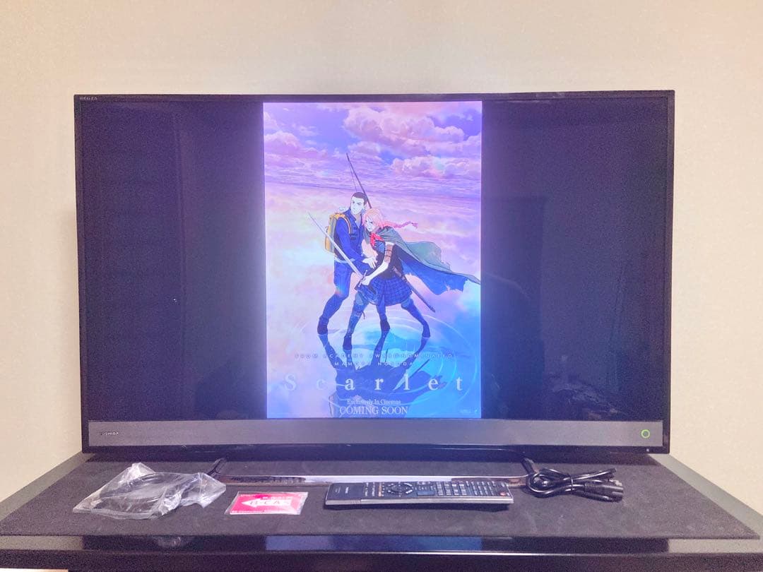 【今だけ優待価格】東芝 REGZA 40V型4K・3チューナーW録(外付HDD)