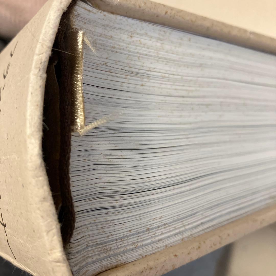 Leonardo da Vinci 全絵画作品・素描集