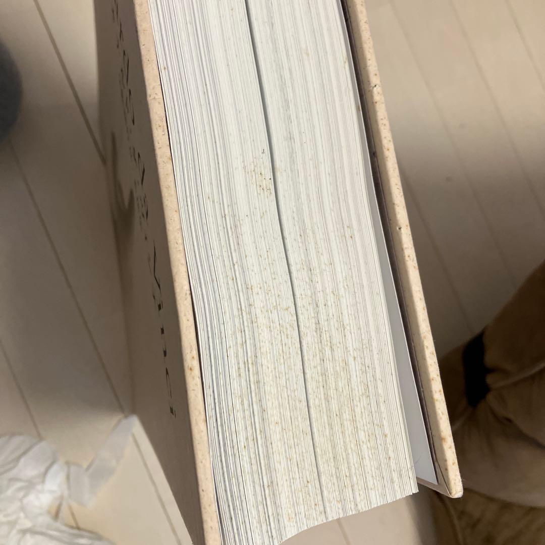 Leonardo da Vinci 全絵画作品・素描集