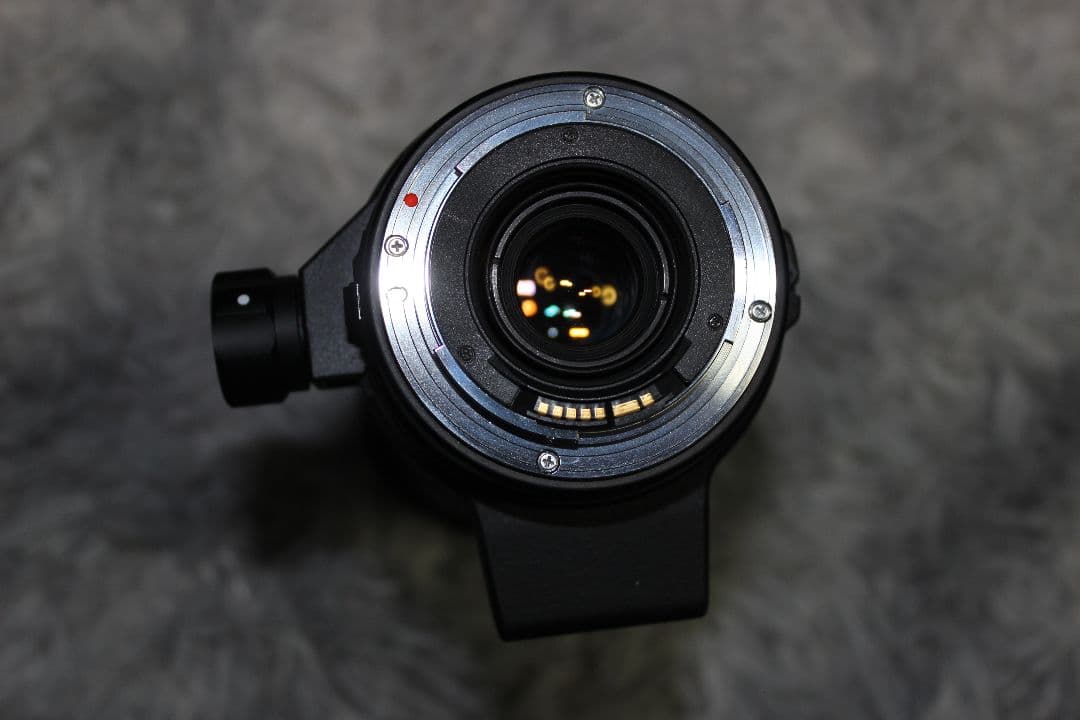 な*こ様 シグマ 170-500mm 1:5-6.3 APOレンズ、キヤノンEF