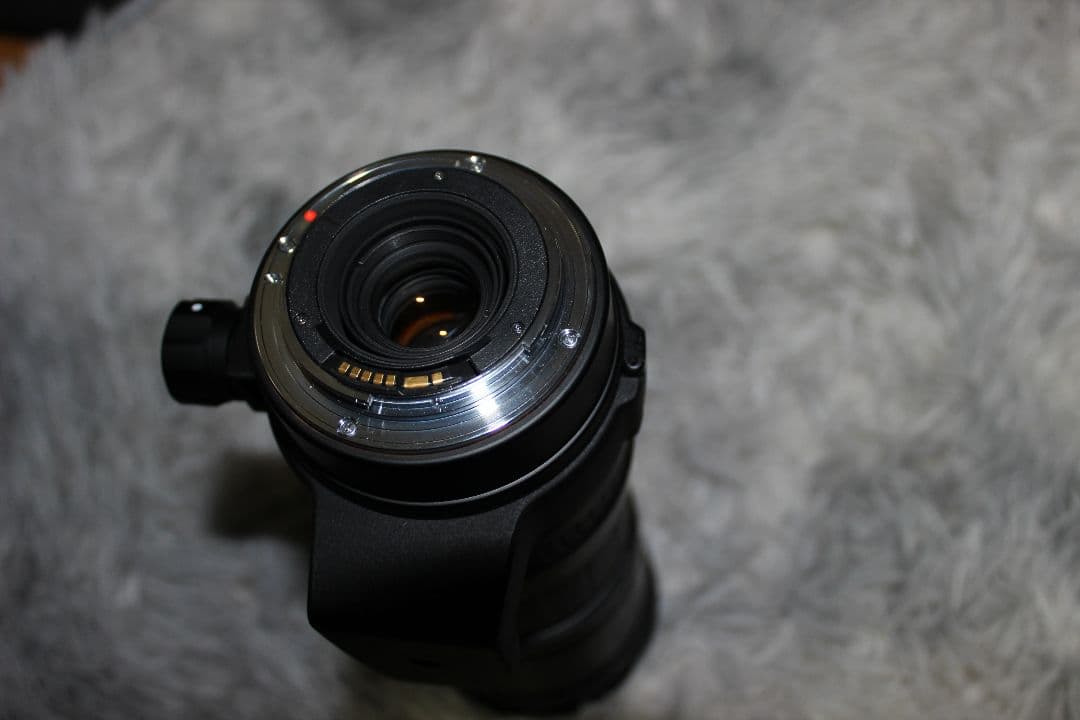 な*こ様 シグマ 170-500mm 1:5-6.3 APOレンズ、キヤノンEF