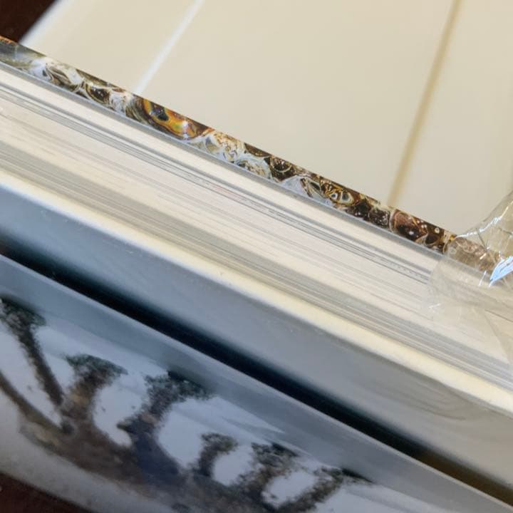 名和晃平　シンセシス　SYNTHESIS作品集　限定シート入り