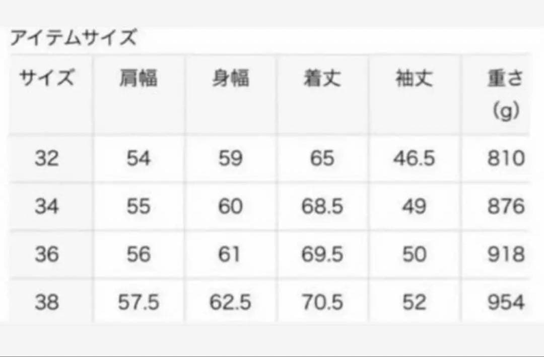 最終SALE【Noble】 MTR カラーレスジップショートコート 38