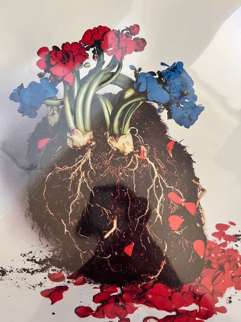 POP VIRUS GEN HOSHINO 星野源レコードアナログ