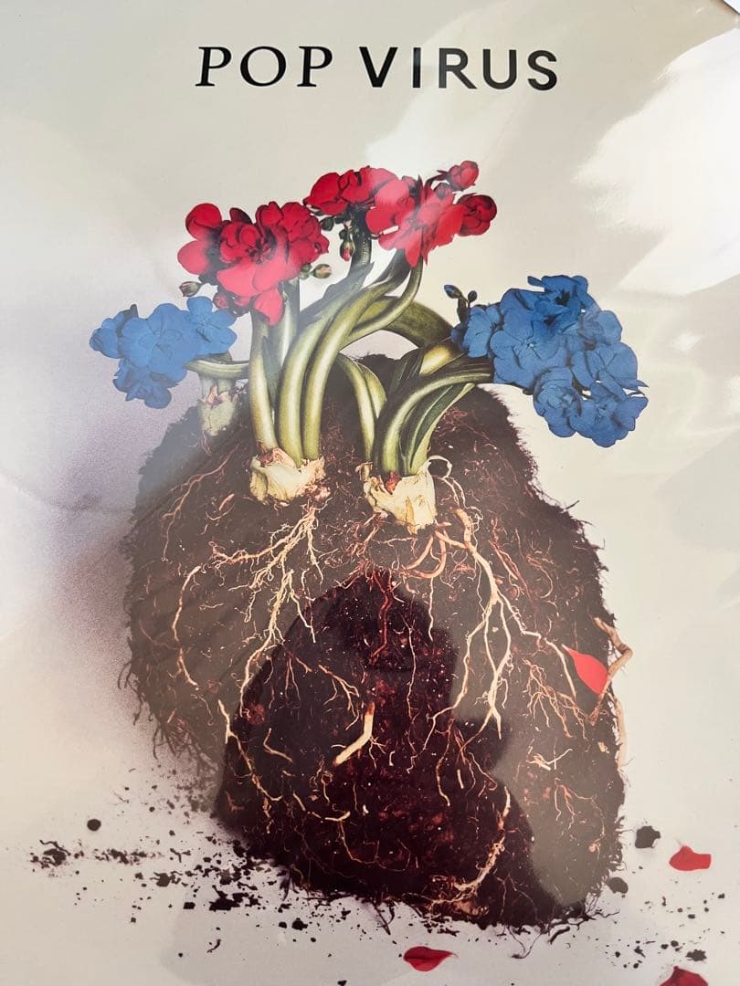 POP VIRUS GEN HOSHINO 星野源レコードアナログ