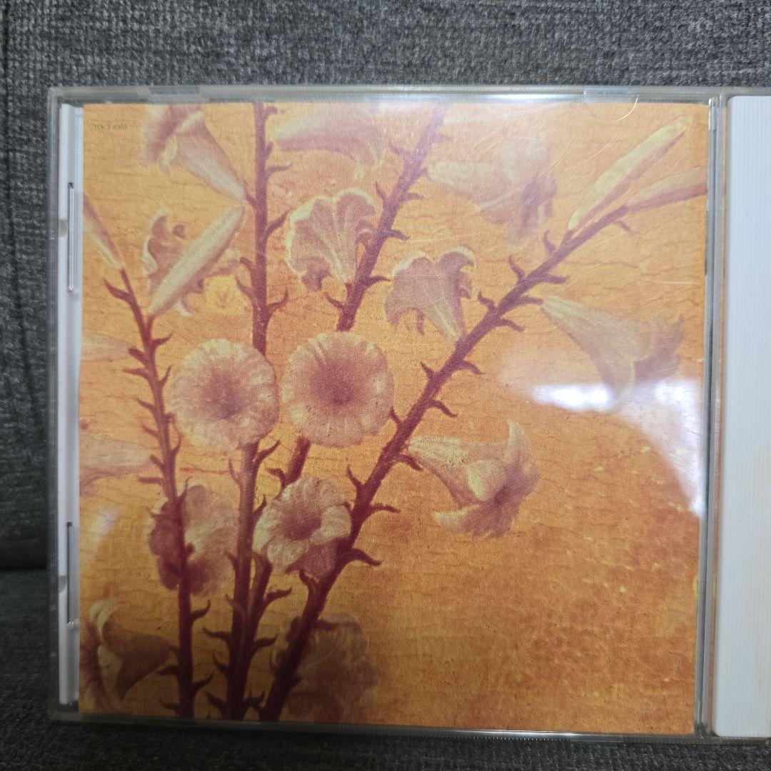 黒夢 KUROYUME BOX+&迷える百合達 7CD+DVD