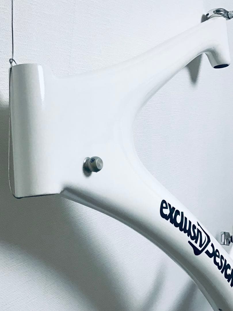 90年代 ドイツ製 Xtrem トラックレーサー カーボンモノコックフレーム 白