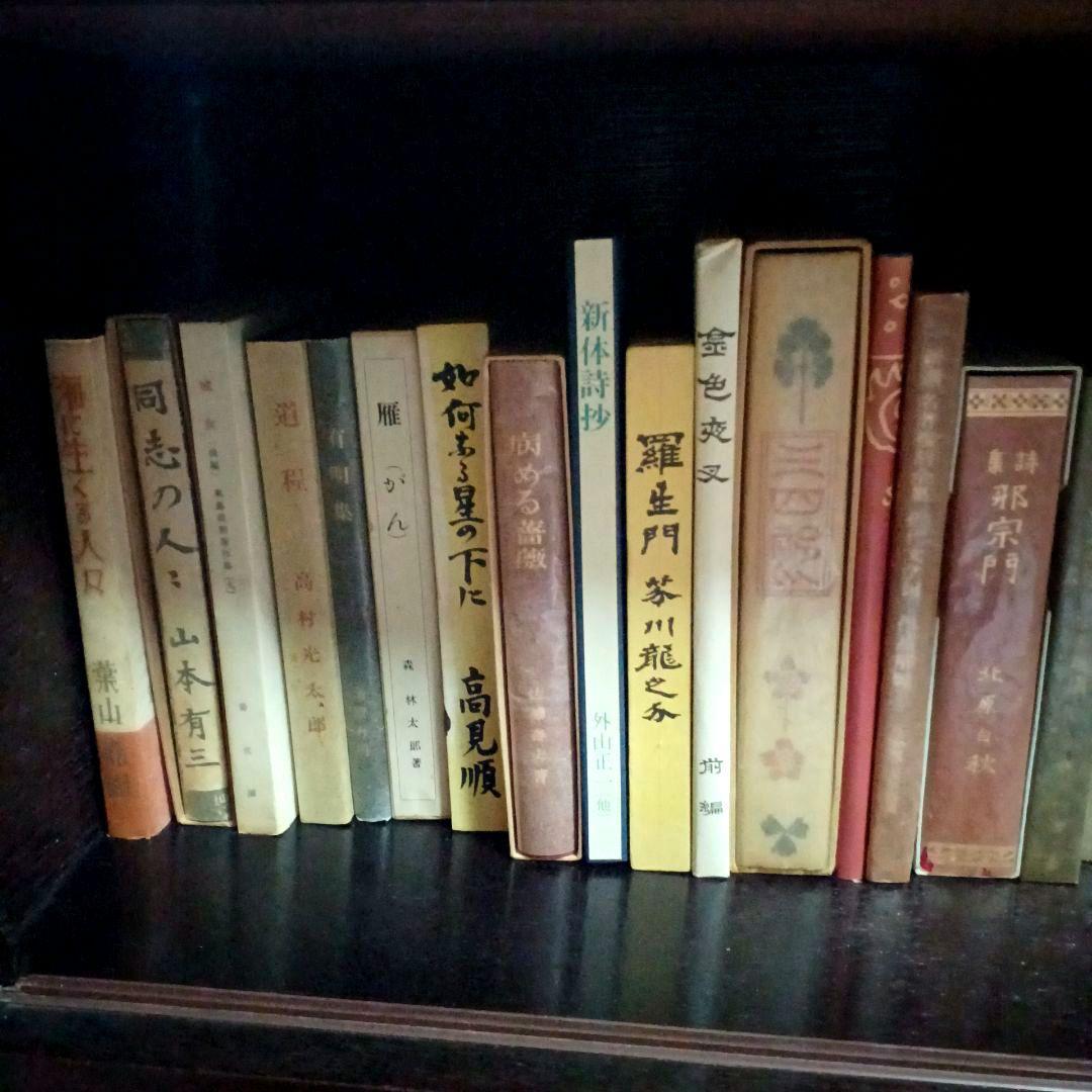 日本文学コレクション【中古品】