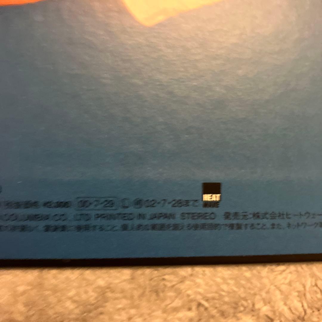 邦楽 THEE MICHELLE GUN ELEPHANT wonder style