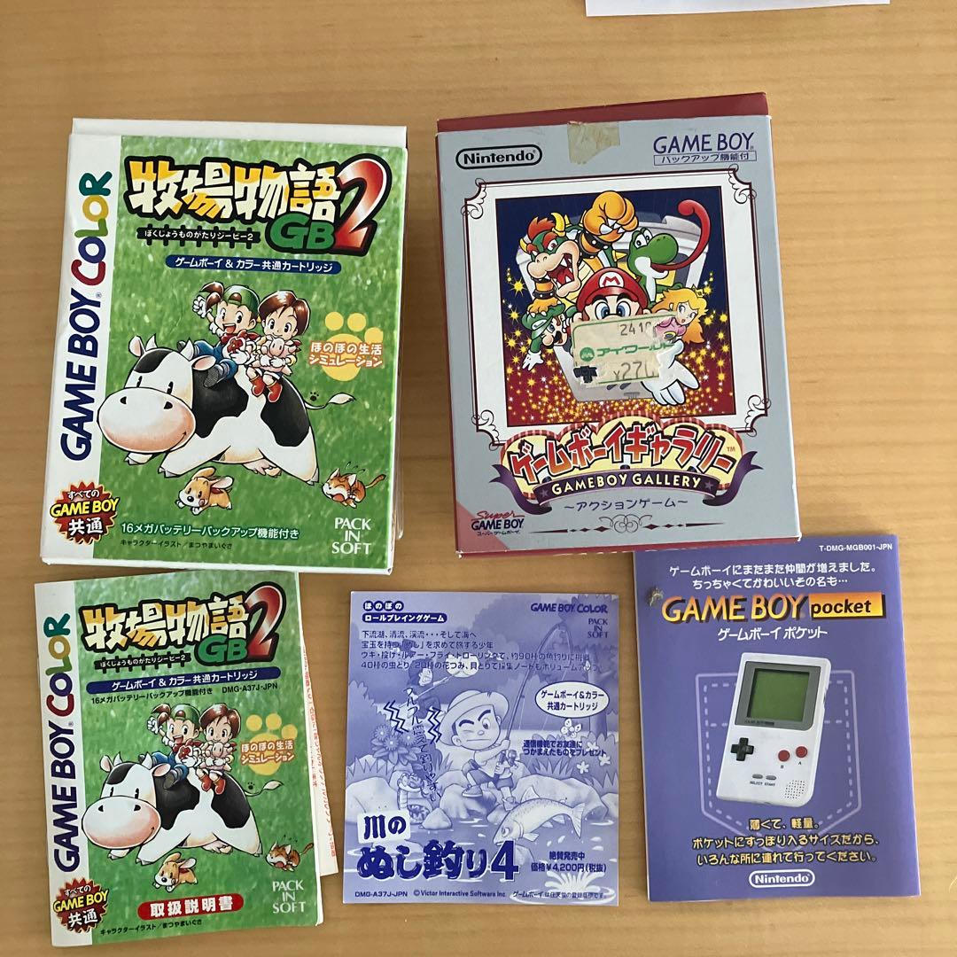 ニンテンドー GAME BOY color    クリアパープル
