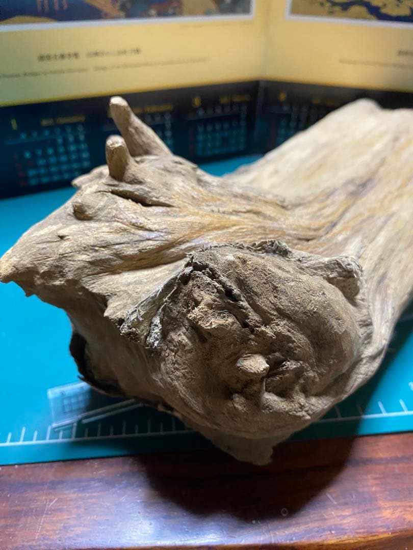 ベトナム産香木「泥沈香」原木266.8g 茶道具 六國五味伽羅聞香 香道具