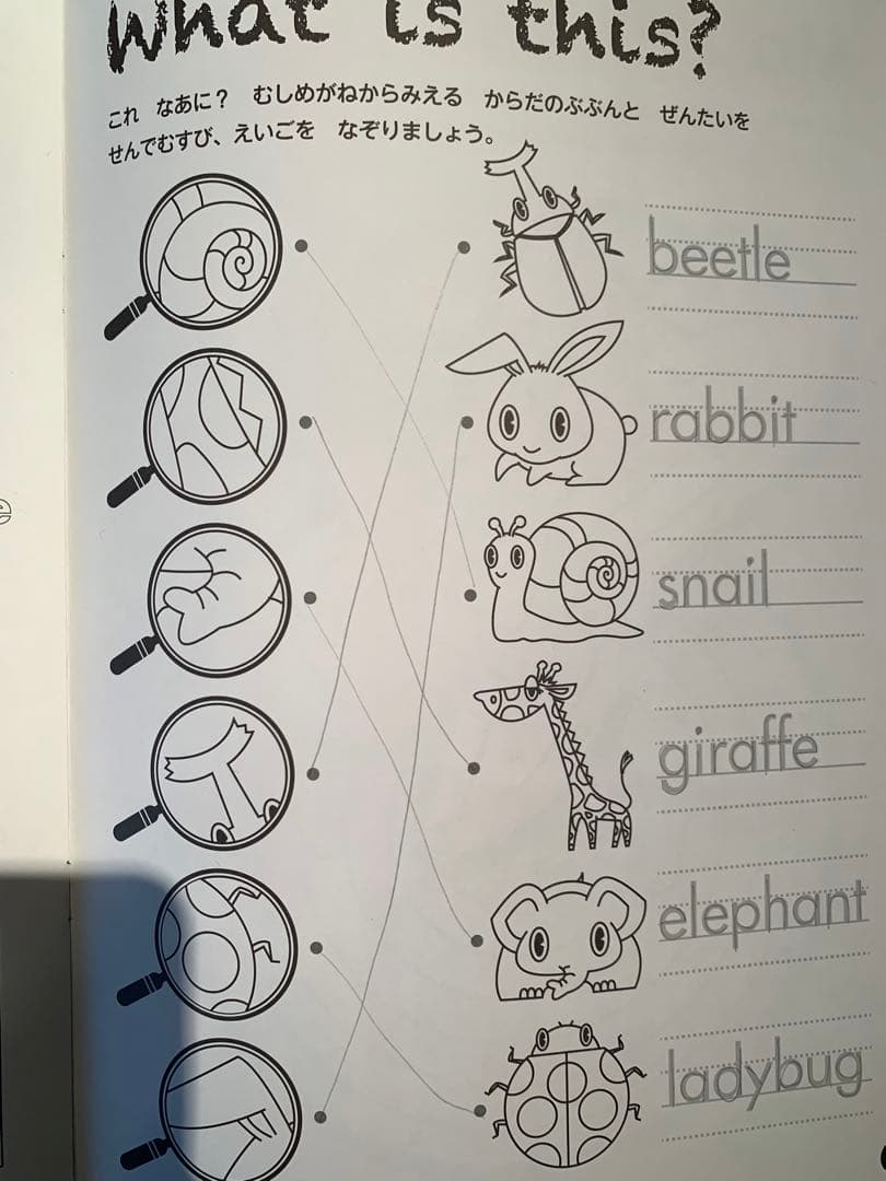 【送料込み】ペッピーキッズクラブ　モラモラi フルセット⭐︎【おまけ付き】