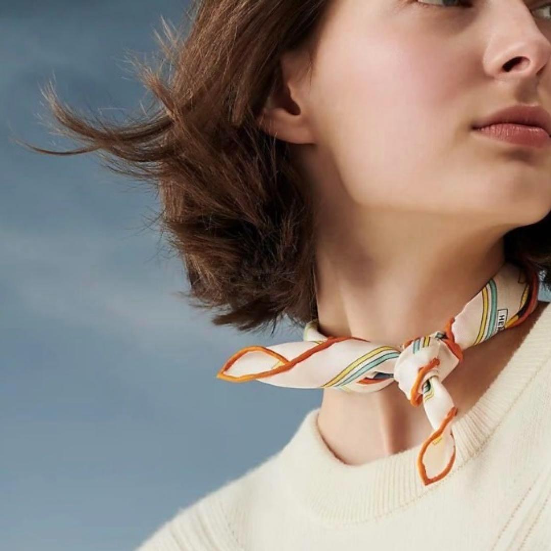 【未使用】タグ付き ⭐️エルメス ガヴロッシュ Brides et Fontaux