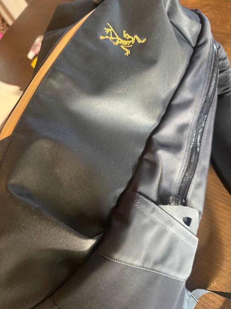 ARC'TERYX arro22 BLACK 国内正規品　現行モデル